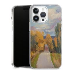 Hard Case transparent - 2in1