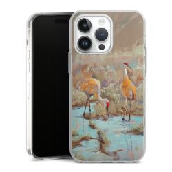 Hard Case transparent - 2in1