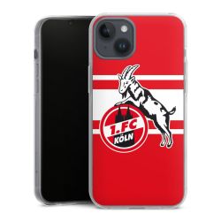 Hard Case transparent - 2in1