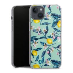 Hard Case transparent - 2in1