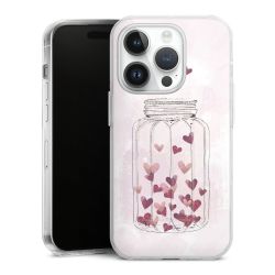 Hard Case transparent - 2in1