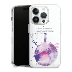 Hard Case transparent - 2in1