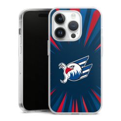 Hard Case transparent - 2in1