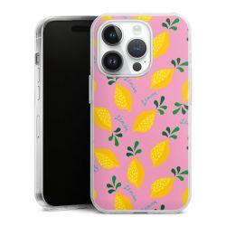 Hard Case transparent - 2in1