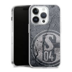Hard Case transparent - 2in1