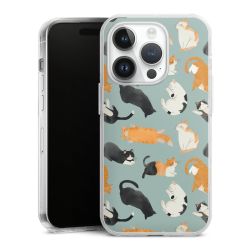 Hard Case transparent - 2in1