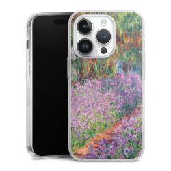 Hard Case transparent - 2in1