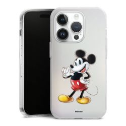 Hard Case transparent - 2in1