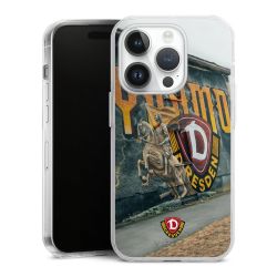 Hard Case transparent - 2in1