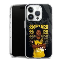 Hard Case transparent - 2in1