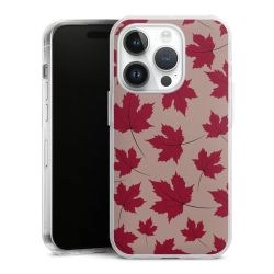 Hard Case transparent - 2in1