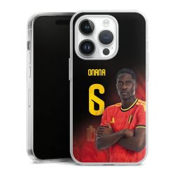 Hard Case transparent - 2in1