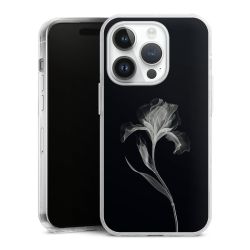 Hard Case transparent - 2in1