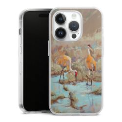 Hard Case transparent - 2in1