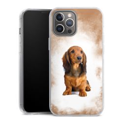 Hard Case transparent - 2in1