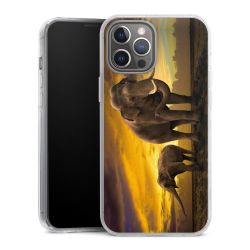 Hard Case transparent - 2in1