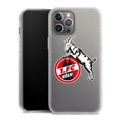 Hard Case transparent - 2in1