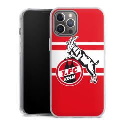 Hard Case transparent - 2in1