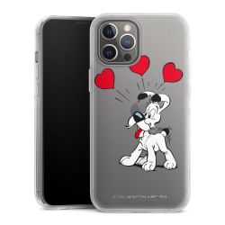 Hard Case transparent - 2in1