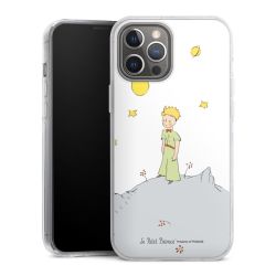 Hard Case transparent - 2in1