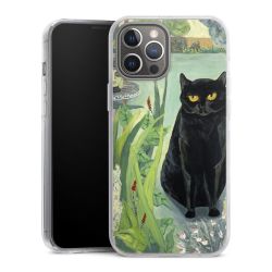 Hard Case transparent - 2in1