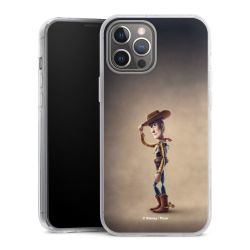 Hard Case transparent - 2in1