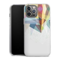 Hard Case transparent - 2in1