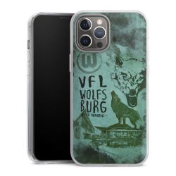 Hard Case transparent - 2in1