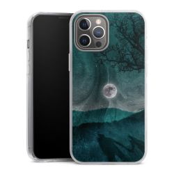 Hard Case transparent - 2in1