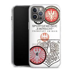 Hard Case transparent - 2in1