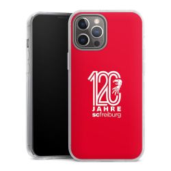 Hard Case transparent - 2in1