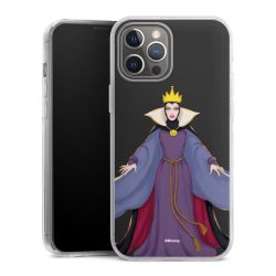 Hard Case transparent - 2in1