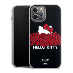 Hard Case transparent - 2in1