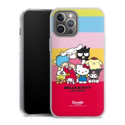 Hard Case transparent - 2in1