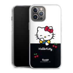 Hard Case transparent - 2in1