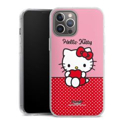 Hard Case transparent - 2in1