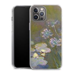 Hard Case transparent - 2in1