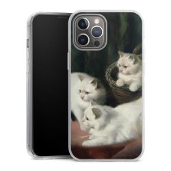 Hard Case transparent - 2in1