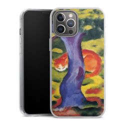 Hard Case transparent - 2in1