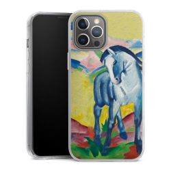 Hard Case transparent - 2in1