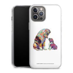 Hard Case transparent - 2in1