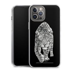 Hard Case transparent - 2in1