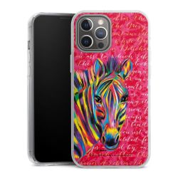 Hard Case transparent - 2in1