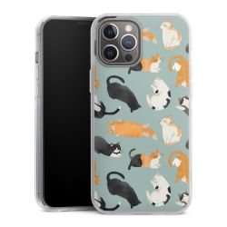 Hard Case transparent - 2in1