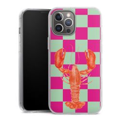 Hard Case transparent - 2in1