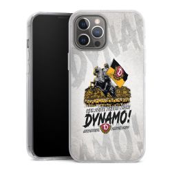 Hard Case transparent - 2in1