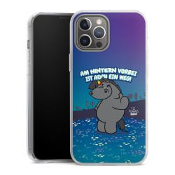 Hard Case transparent - 2in1