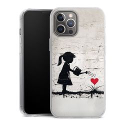 Hard Case transparent - 2in1