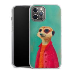 Hard Case transparent - 2in1