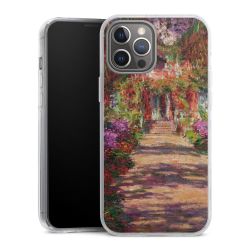 Hard Case transparent - 2in1